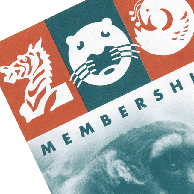 Zoo Brochure